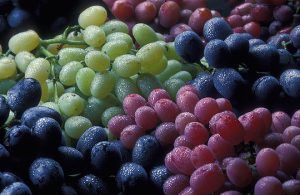 Consumo de uva en México será de 257,000 toneladas. Grape consumption in Mexico will be 257,000 tons. La consommation de raisin au Mexique sera de 257 000 tonnes.