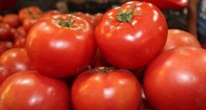 Las exportaciones mexicanas de tomates en juli, sumaron 124.1 millones de dólares.