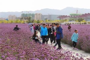 Los turistas de China en el exterior están creciendo a tasas de doble dígito anuales.