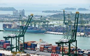 World trade in goods would present a 20% year-on-year drop in 2020, according to new forecasts from the United Nations Conference on Trade and Development (UNCTAD).