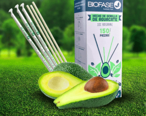 Biofase exporta productos de plásticos biodegradables obtenidos de la semilla del aguacate.