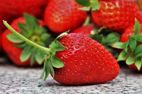 Las exportaciones mexicanas de fresas a Estados Unidos presentaron un crecimiento de 44% interanual en 2019.