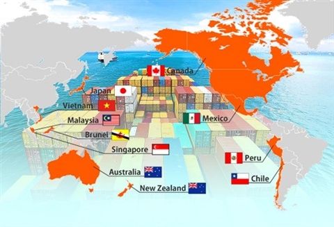 En el CPTPP, las normas de origen se establecen en el Capítulo 3 y las normas de origen detalladas relativas a productos específicos figuran en el Anexo 3-D.