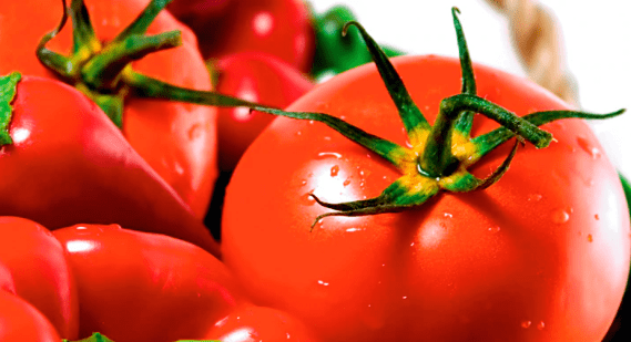 Exportações de tomate vermelho do México aumentam 2,1% em 2023