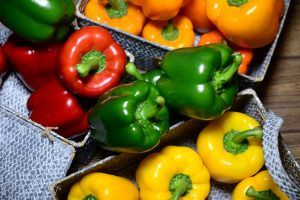 With an investment of more than 100 million pesos, Grupo Jaguar Ingenieros Constructores ventures into the high-tech agricultural production sector with exports of peppers to the United States, Canada and Saudi Arabia.