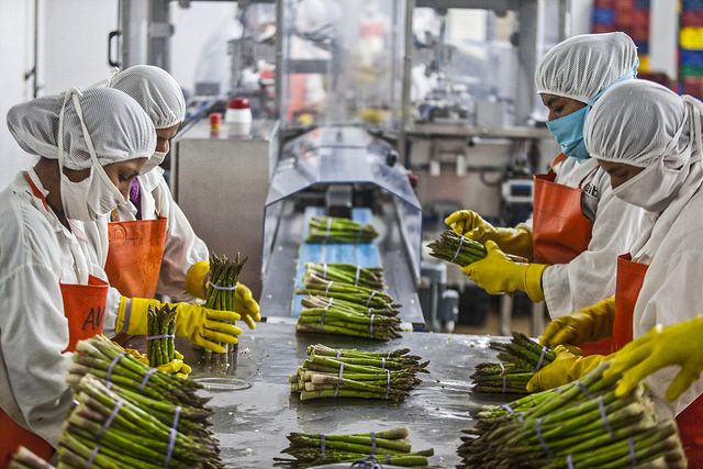 El comercio electrónico agrícola y las cadenas de suministro “híperlocales” han experimentado un fuerte aumento durante la pandemia de la Covid-19, fundamentalmente con el propósito de suplir la interrupción en el abastecimiento de alimentos esenciales.