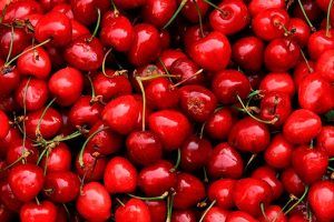 Chilean cherry exports will increase by 13% in the 2019/2020 marketing year, reaching 259,000 tons, estimated the United States Department of Agriculture (USDA).