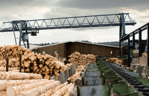 A dispute settlement panel at the World Trade Organization (WTO) found that the United States improperly applied countervailing duties on Canadian softwood lumber.