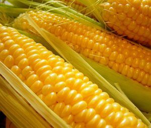 The Brazilian government reported that it will temporarily eliminate tariffs on imports of corn, soybeans and rice outside Mercosur.