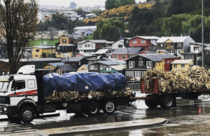 The Inter-American Development Bank (IDB) reported that startups Atando Cabos, a Chilean company, won the challenge to reduce plastic and single-use plastic waste (Rethink Plastics Challenge) and received $ 30,000 to scale their solution.