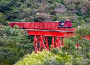 Subsidiaria de la empresa GMXT, Ferromex operó la flota ferroviaria más grande del país con 19,344 carros de distintos tipos en el tercer trimestre de 2022. A subsidiary of GMXT, Ferromex operated the country's largest rail fleet with 19,344 cars of different types in the third quarter of 2022.