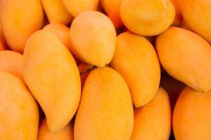 Mango exports from Mexico to the world reached a growth of 4.5% year-on-year from January to October 2020, to 325.7 million dollars.