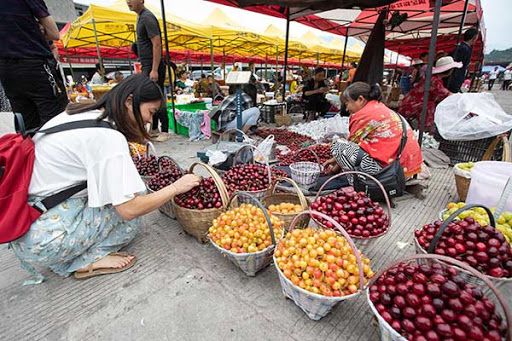 The development of China's online retail market continued to improve and the market scale reached a new high in 2020.