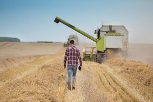 China rechazó este miércoles la instalación de un panel sobre importaciones de cebada desde Australia en el marco de la Organización Mundial de Comercio (OMC). China on Wednesday rejected the installation of a panel on barley imports from Australia within the framework of the World Trade Organization (WTO).