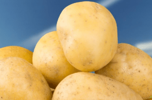 México permitirá las importaciones de papas desde Estados Unidos, luego de un fallo emitido por la Suprema Corte de Justicia de la Nación (SCJN). Mexico will allow potato imports from the United States, after a ruling issued by the Supreme Court of Justice of the Nation (SCJN).