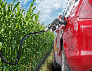 Los gobiernos de México y Estados Unidos analizaron la posibilidad de políticas coordinadas sobre mezclas de gasolina con etanol. The governments of Mexico and the United States analyzed the possibility of coordinated policies on blends of gasoline with ethanol.