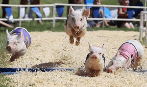 Por mucho, China se ubicó en la cima de los 10 principales consumidores de carne de cerdo en el mundo en 2020, de acuerdo con datos del Departamento de Agricultura de Estados Unidos (USDA), retomados por Comecarne. By far, China was in the top 10 of the world's top 10 pork consumers in 2020, according to data from the United States Department of Agriculture (USDA), taken up by Comecarne.