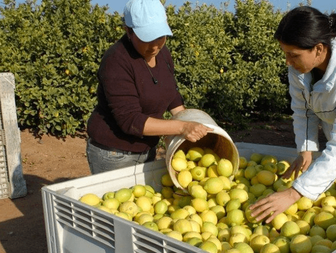 Las ventas externas de México a Estados Unidos crecieron 103% en abril a tasa anual, al totalizar 32,177 millones de dólares, de acuerdo con datos de la Oficina del Censo. Foreign sales from Mexico to the United States grew 103% in April at an annual rate, totaling 32.177 million dollars, according to data from the Census Bureau.