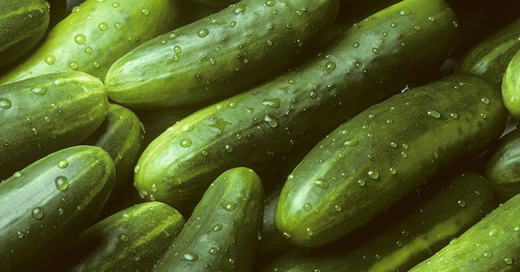 Los estadounidenses han mantenido una tendencia creciente en el consumo de pepinos mexicanos desde 2015, de acuerdo con datos de la Secretaría de Economía. Americans have maintained a growing trend in the consumption of Mexican cucumbers since 2015, according to data from the Ministry of the Economy.