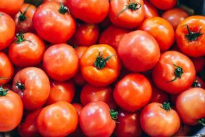 México, seguido de Países Bajos, España y Marruecos, se colocaron como los principales exportadores de tomates en el mundo en 2020. Mexico, followed by the Netherlands, Spain and Morocco, were positioned as the main exporters of tomatoes in the world in 2020.