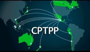 TIPAT: solo Brunei falta de ratificar este acuerdo. USMCA: only Brunei has yet to ratify this agreement. PTPGP : seul le Brunei doit encore ratifier cet accord.