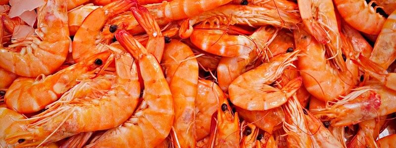 El gobierno de México pidió este miércoles a su contraparte de Estados Unidos quitar bloqueo a importaciones de camarón mexicano. The government of Mexico asked its counterpart from the United States on Wednesday to remove the blockade on imports of Mexican shrimp.