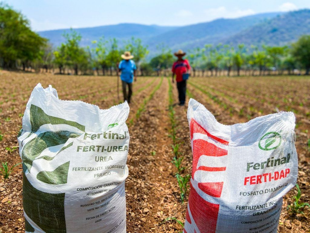 Al cierre de 2020 el presupuesto de inversión del gobierno federal de México en fertilizantes alcanzó 3,340 millones de pesos y para el ejercicio 2021 se tienen alrededor de 2,685 millones de pesos aprobados. At the end of 2020, the investment budget of the federal government of Mexico in fertilizers reached 3,340 million pesos and for the year 2021 there are around 2,685 million pesos approved.