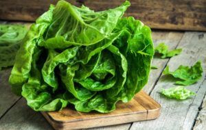 España aventaja a todas las demás economías del mundo en cuanto a exportaciones de lechugas, con ventas por 864 millones de dólares en 2020. Spain leads all other economies in the world in terms of lettuce exports, with sales of 864 million dollars in 2020.