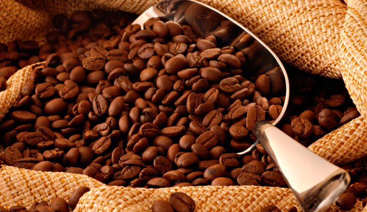 La producción de café en México: tendencia y retos. Coffee production in Mexico: trends and challenges. La production de café au Mexique : tendances et défis. Produção de café no México: tendências e desafios.