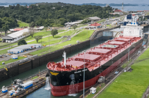 La flota mundial de graneleros, barcos que se dedican al transporte de cargas secas a granel, se desacelerará en 2022. La flota mundial de graneleros, barcos que se dedican al transporte de cargas secas a granel, se desacelerará en 2022.