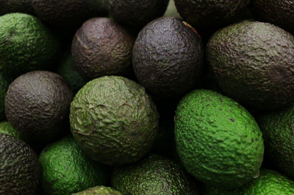 Estados Unidos batió récord en sus importaciones de aguacate en 2021, al cifrarse en 3,034 millones de dólares. The United States broke a record in its avocado imports in 2021, amounting to 3,034 million dollars.