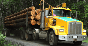 Weyerhaeuser Company es uno de los mayores propietarios privados de bosques madereros del mundo. Weyerhaeuser Company is one of the world's largest private owners of timber forests.