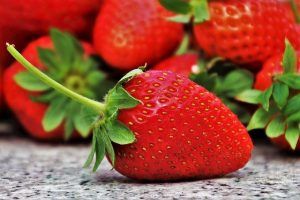 Las importaciones de fresas a Estados Unidos superaron en 2021 por primera vez los 1,000 millones de dólares. Strawberry imports to the United States exceeded 1 billion dollars for the first time in 2021.