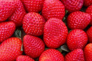 Las exportaciones de fresas mexicanas han mantenido una tendencia a la alza en los últimos cuatro años. Mexican strawberry exports have maintained an upward trend in the last four years.