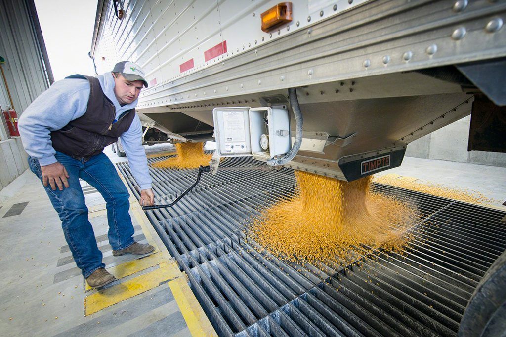 Bunge celebró un acuerdo para vender prácticamente todo su negocio de molienda de trigo en México. Bunge entered into an agreement to sell substantially all of its wheat milling business in Mexico.