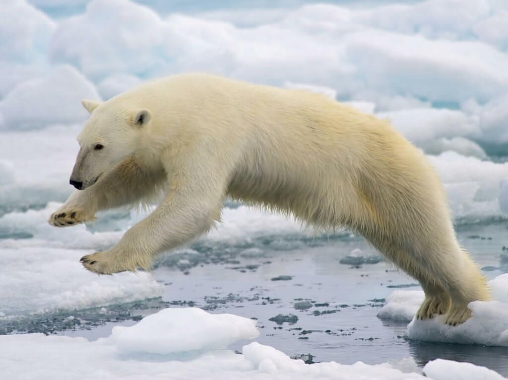 La Comisión Europea publicó un informe en el que identifica las pérdidas económicas por fenómenos meteorológicos y climáticos en la Unión Europea (UE). The European Commission published a report identifying economic losses due to weather and climate events in the European Union (EU).