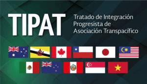 El TIPAT contiene numerosas disciplinas específicas sobre la industria automotriz a lo largo de sus capítulos. TIPAT contains numerous automotive-specific disciplines throughout its chapters.