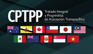 Un análisis del Congreso estadounidense destacó 12 compromisos del TIPAT. A U.S. congressional analysis highlighted 12 TIPAT commitments.