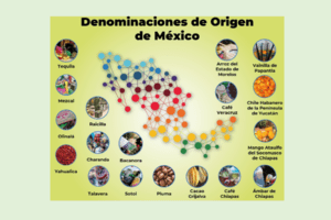 México tiene registrados 18 productos como denominaciones de origen (DO) y tres como indicaciones geográficas (IG). Mexico has 18 products registered as designations of origin (DO) and three as geographical indications (GI).