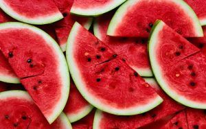 España lidera exportaciones de sandía en el mundo. Spain leads watermelon exports in the world. L'Espagne est en tête des exportations de pastèques dans le monde. A Espanha lidera as exportações de melancia no mundo.