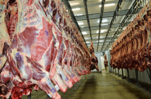 Exportaciones de carne de bovino congelada a China: el liderazgo de Brasil. Exports of frozen beef to China: the leadership of Brazil. Exportations de bœuf congelé vers la Chine : le leadership du Brésil. Exportação de carne bovina congelada para a China: a liderança do Brasil.