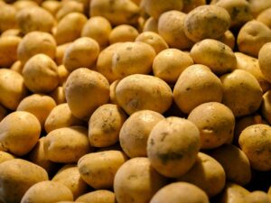 Acesso ao mercado de batatas frescas para o México: NPC e CONPAPA